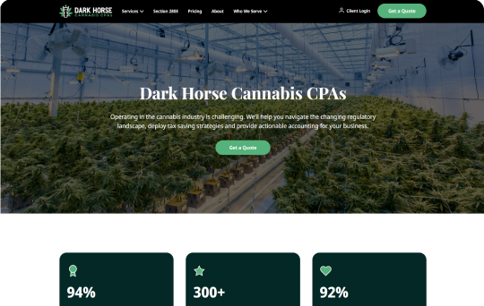 Cannabis CPAs website