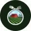 site icon