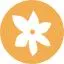 site icon