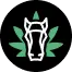 site icon